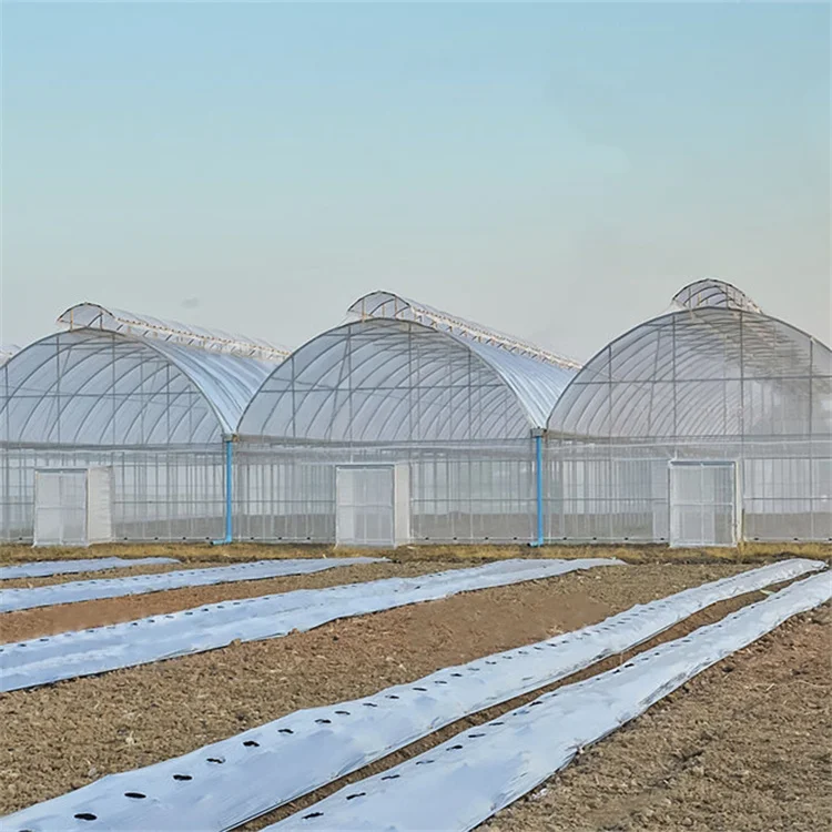 Large Size Multi-span Arch Plastic Film Greenhouse Hot Dip Galvanized Steel Plastic Top Ventilation Agriculture Greenhouse
