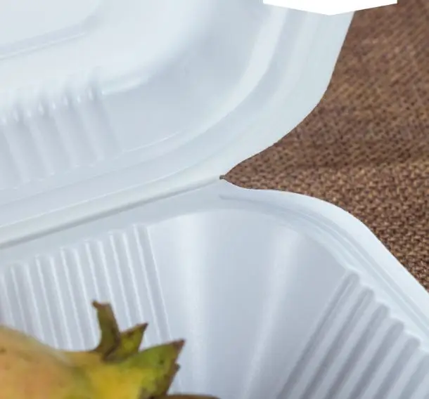 plastic chinese disposable take out polypropylene plastic pp food box