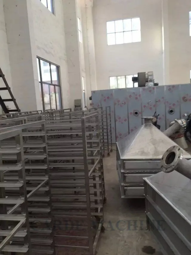 Dry apricot machine saffron seed noodle hot air drying machine food dehydrator fruit processing machine price for plants