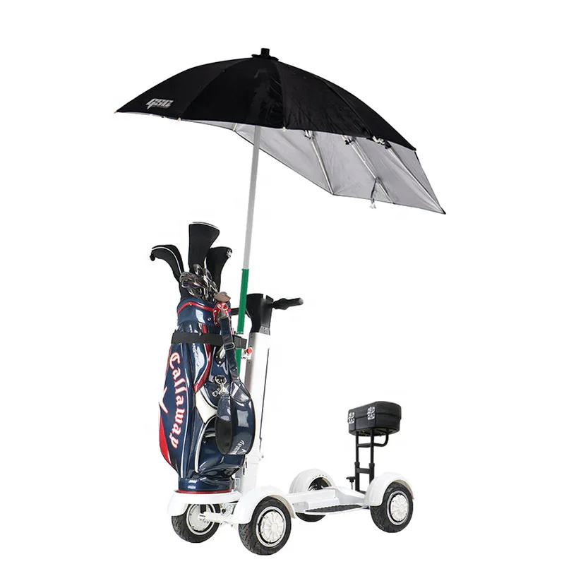 us/eu warehouse Adult 2000W 10 Inch Four Fat Tyre Tire Foldable 4 Wheel Electric Golf Cart Scooter 48v10ah 20ah lithium battery