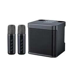 wireless Karaoke speaker YS203 Wholesale Subwoofer speaker With Double Microphones Home Party KTV YS-203 portable outdoor Party
