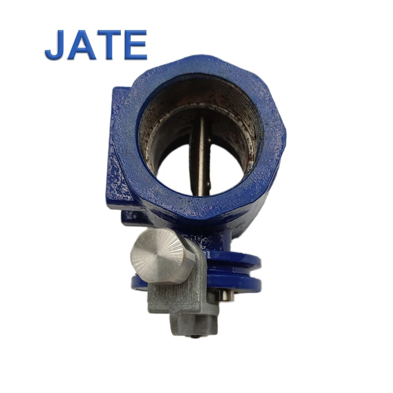 JATE BVM40 Cheap Sanitary Manual Globe Industrial Butterfly Valve Stainless Steel OEM Air General Internal Thread DN 50 8kg