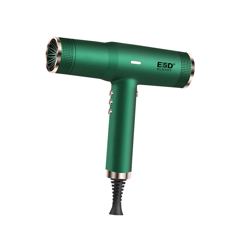 Professional Salon Equipment Factory Wholesale AC Motor or Brushless DC (BLDC) Motor Electric Hair Dryer