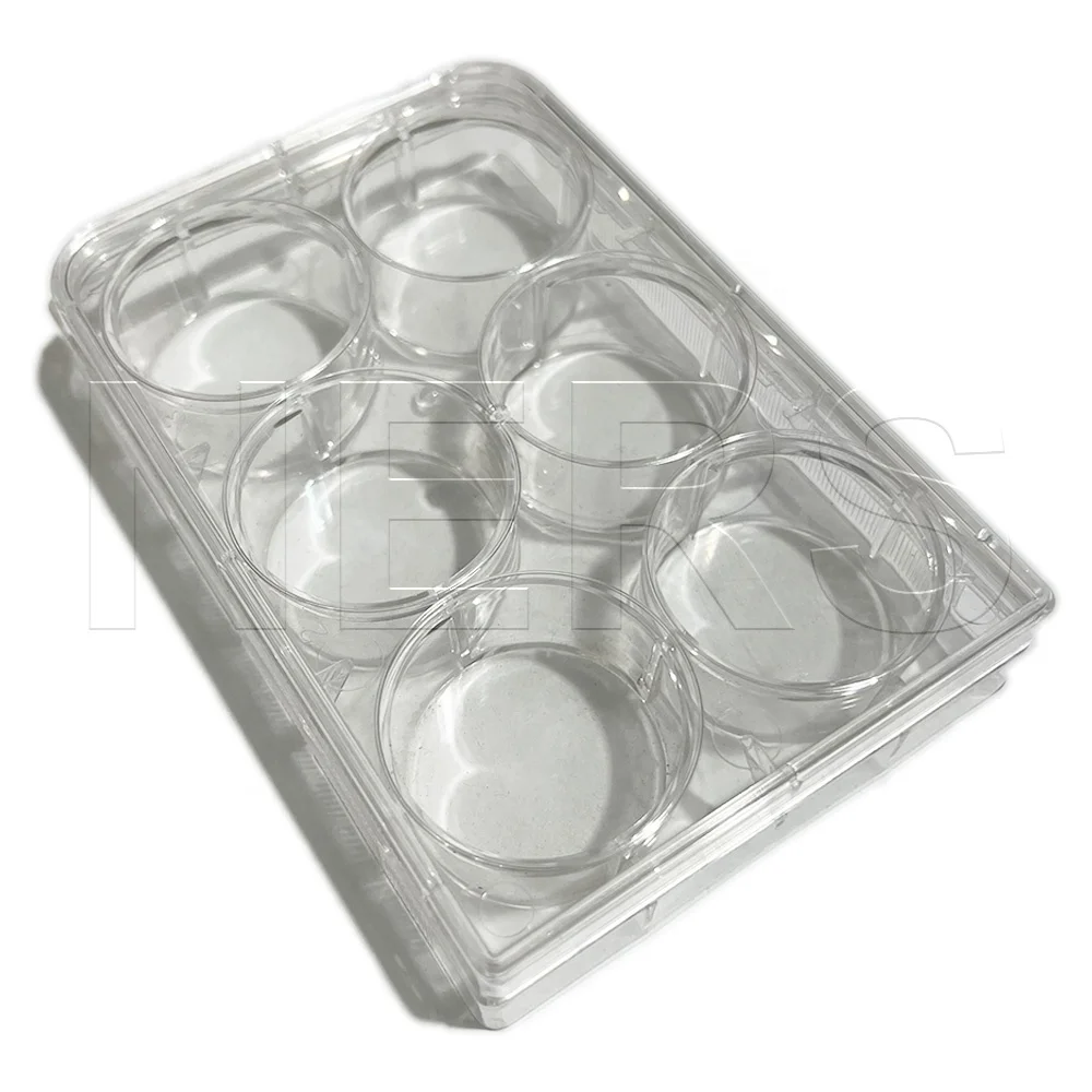 NERS Biological School Experiment Tools Clear Rectangular Plastic Reaction Plate with 6 Wells