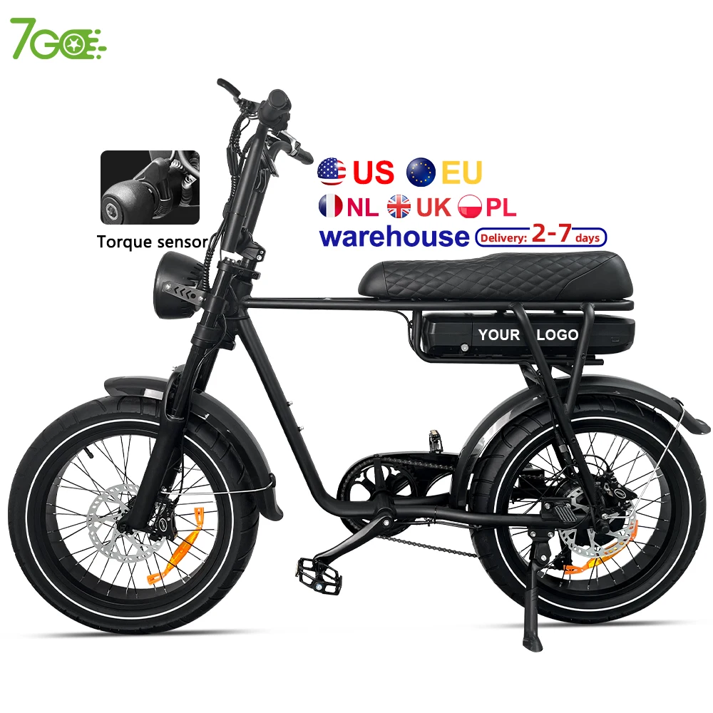 EB2 Smart Torque Assist electric Bike 48V 500W 750W City Hybrid Mountain Dirt Ebike fatbike EU US EU NL PL  Warehouse In Stock