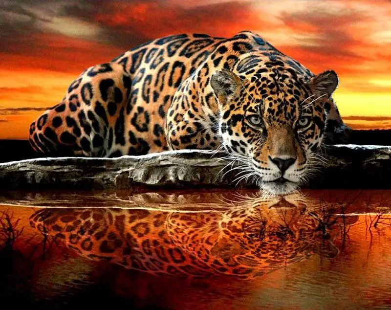 Full Square/Round Drill 5D DIY Wholesale Diamond Painting Leopard Diamond Embroidery Cross Stitch Rhinestone Mosaic Painting