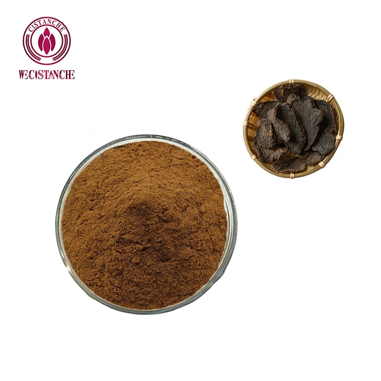 OEM 10:1 20:1 40:1 Maca and Cistanche Tubulosa Extract 100% Nature Supplement Herbal Cistanche