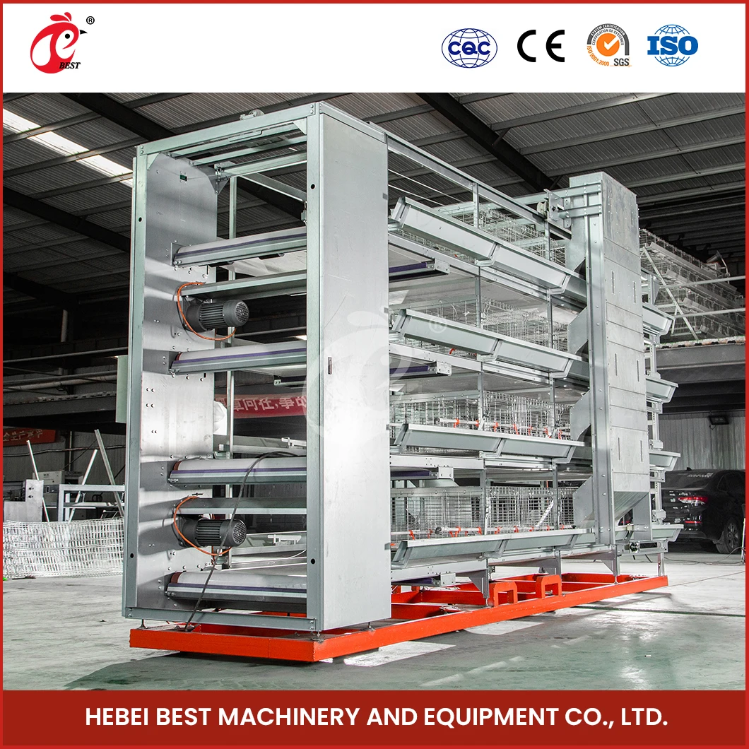 China Cheap Chicken Coops H Frame Automatic Boriler Cages Supplier Custom Clean And Hygienic Broiler House
