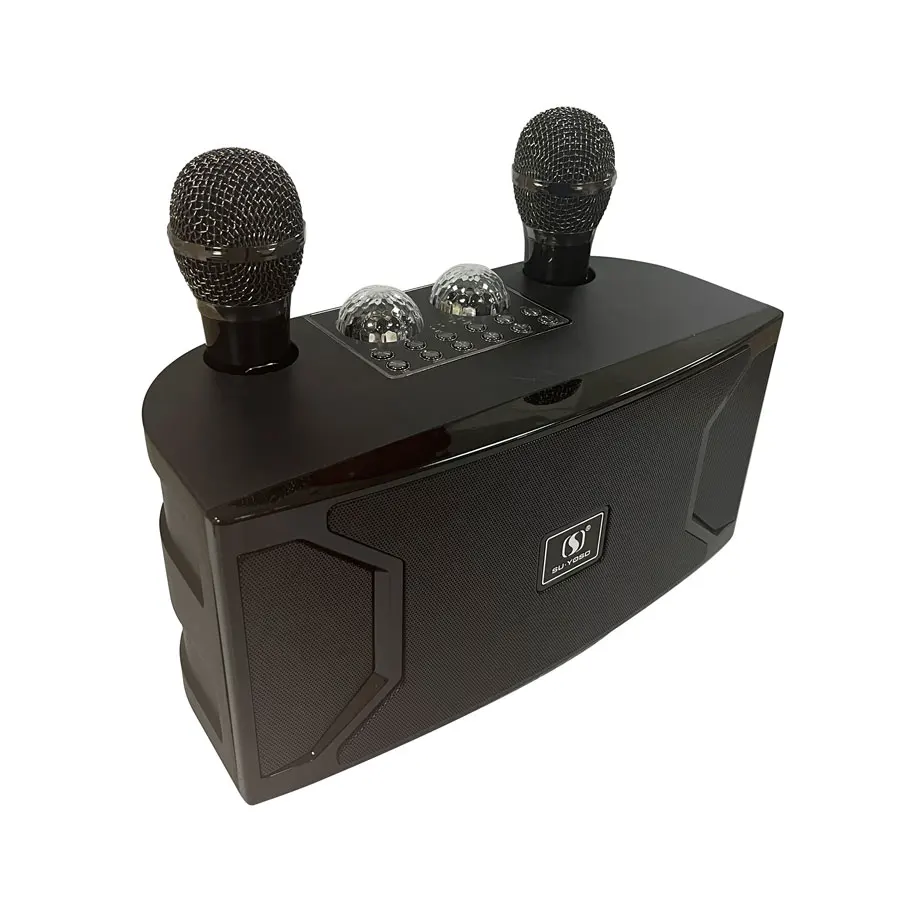 Home Karaoke Machine Dual Mic Wireless Karaoke Speaker Microphone for Parties Festival Wedding