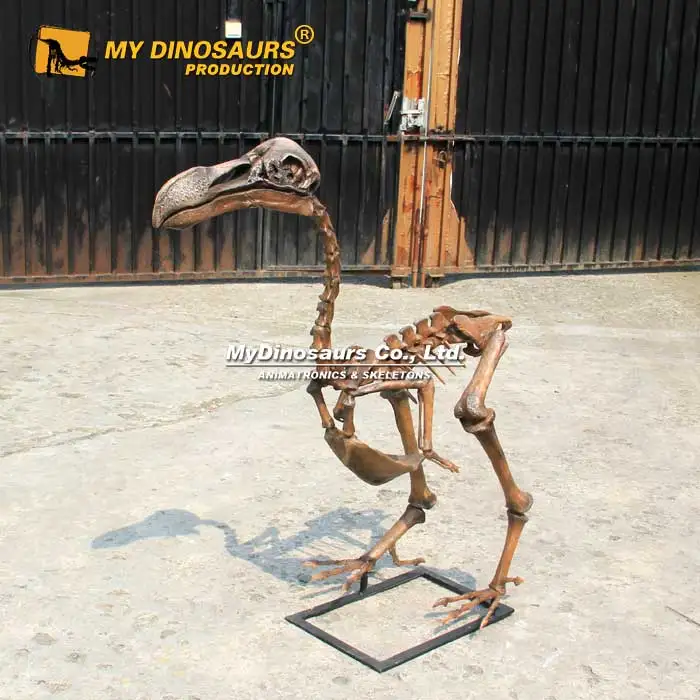 Выставка музея скелета птицы ископаемого Додо вымершего животного MYDINO