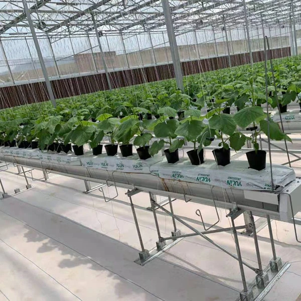 Venlo Type Hydroponic System Agricultural Multi-Span Greenhouse Commercial Glass Green House For Vegetables