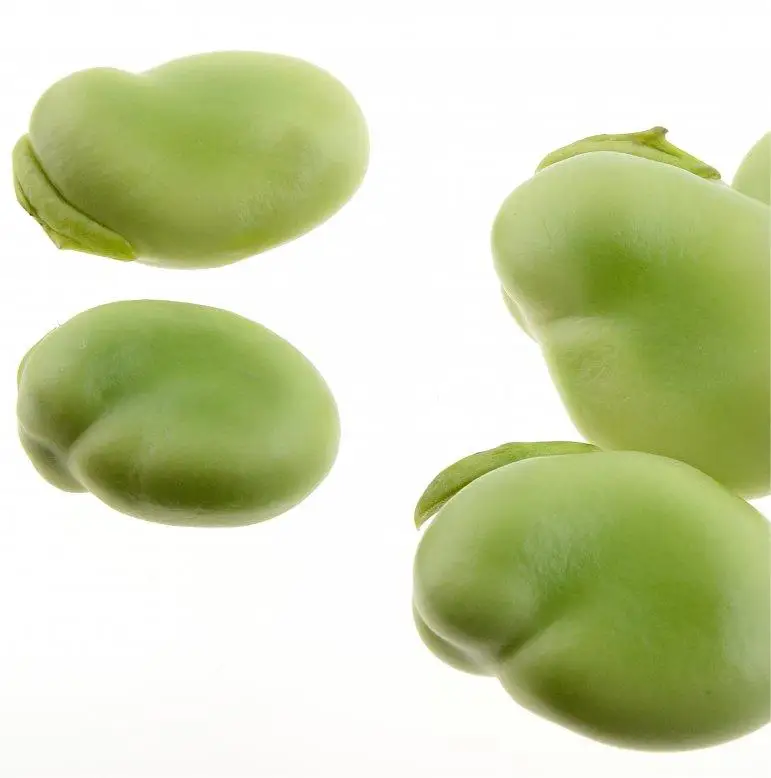 HACCP Chinese Frozen Products Bulk Green Fresh IQF Fava Peeled Frozen Broad Bean