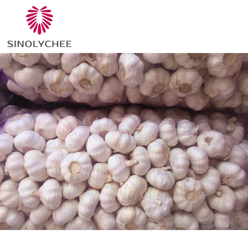 New China fresh vegetables white garlic and red garlic wholesale price for export