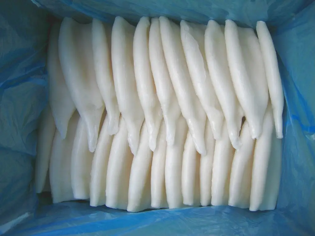 Замороженный кальмар IQF тубус для кальмаров todarodes pacificus морепродукты