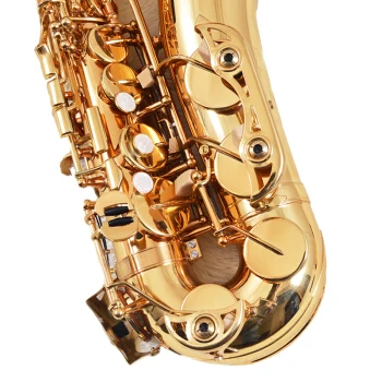 Widely Used Superior Quality Popular Product Buy Professional Alto Saxophone