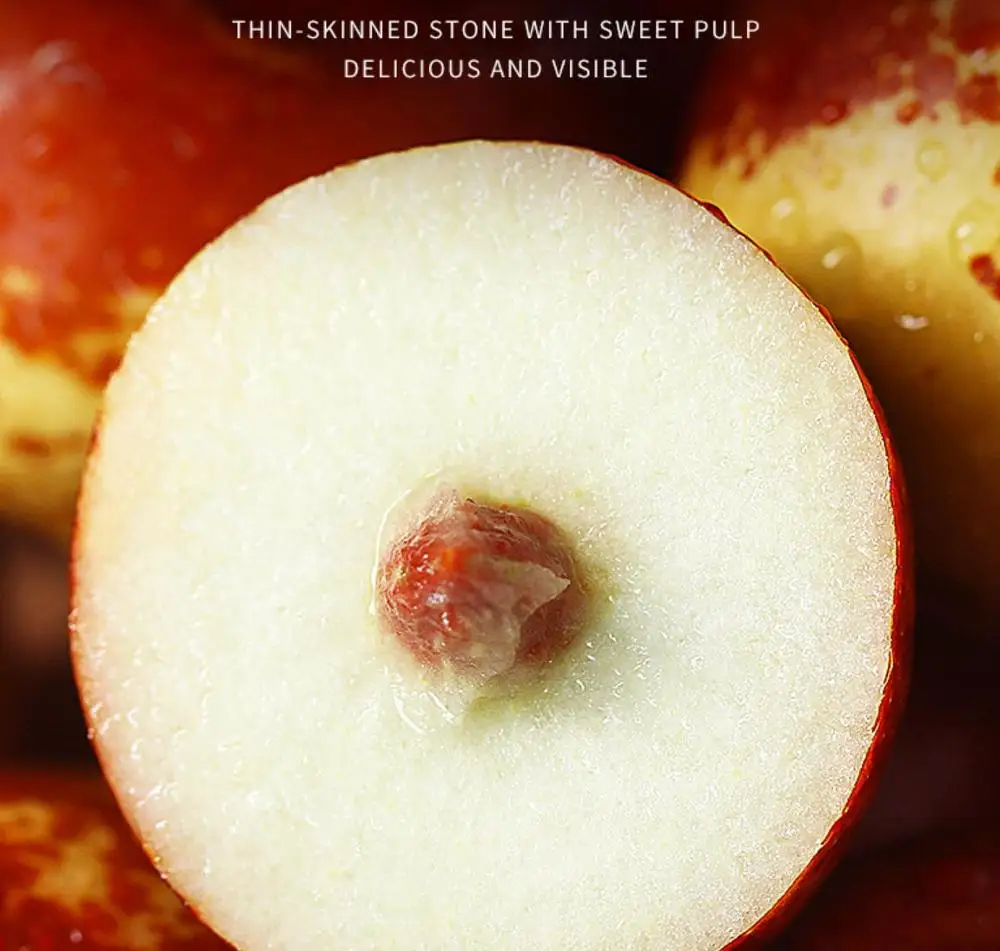 
Hot selling Chinese Fresh winter jujube /Dates fruits for export fruits market 