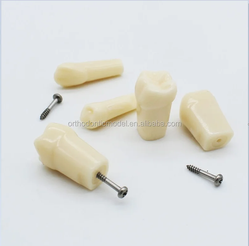 32*1 screw in replacement Frasco grey teeth for Education