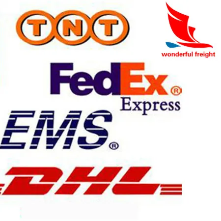 logistics DHL express shipping from Shanghai to Singapore