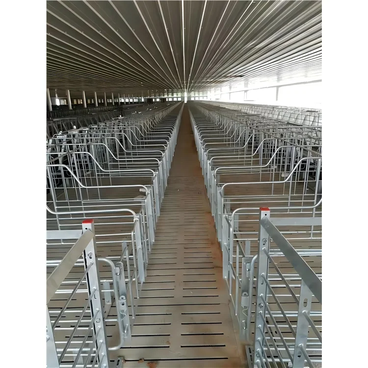 Sow Gestation Bed Galvanized Pig Farrowing Crates Pen Pig Flooring Stall Farrowing Bed Sow Equipment for sale