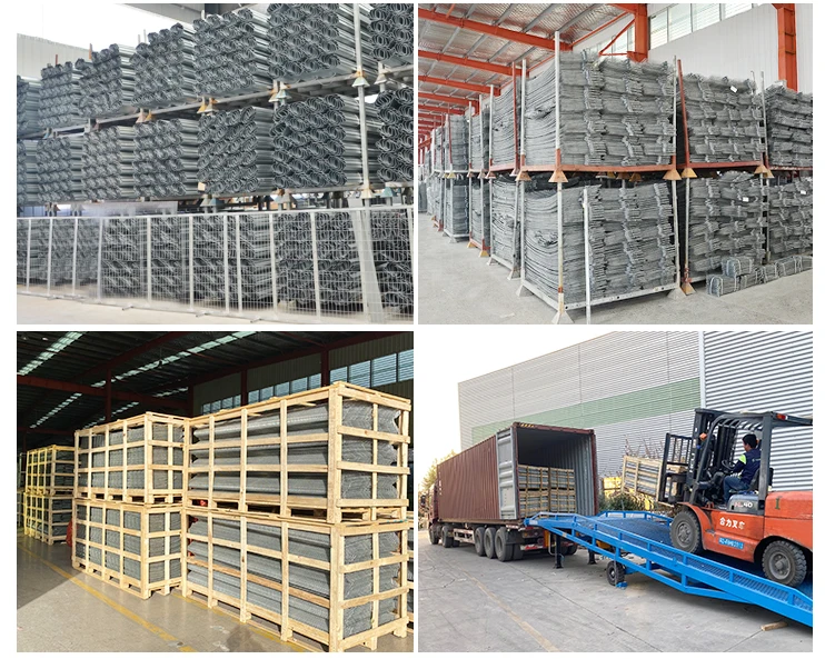 factory sale layer egg chicken automatic chicken cage with CE