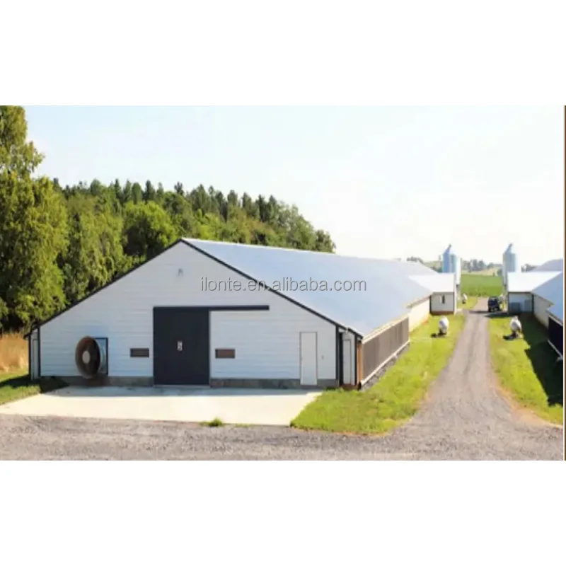 Chicken egg laying hens cage Commercial Poultry Farming Chicken Layer Farming Cage