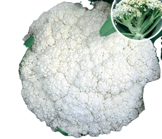 
2000 seeds/bag high quality F1 vegetable Cauliflower seed for planting 