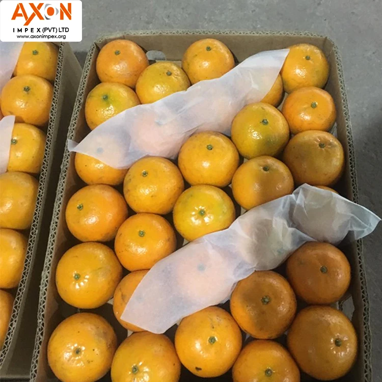 
100% Pure Natural Fresh Citrus Naval Oranges, Valencia Orange, Lemons, Mandarins and Lime 