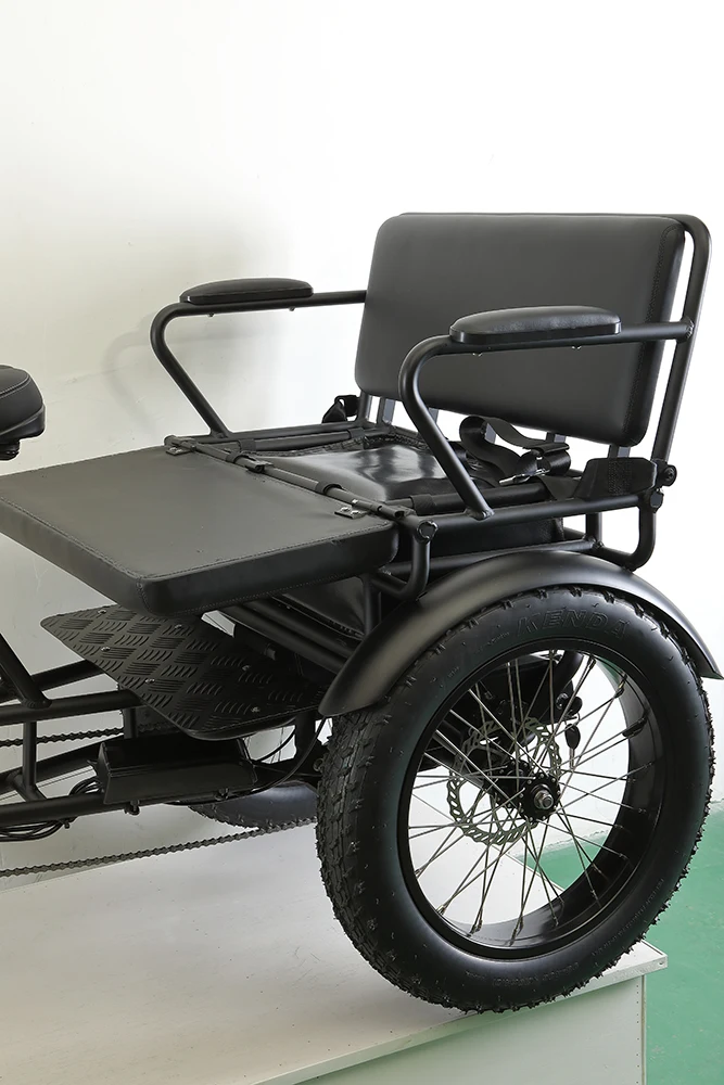 Wholesaler Adults 750w/500w Bafang Fat Tire Cargo Electric Chinese 3 Wheel Electric Bicycle