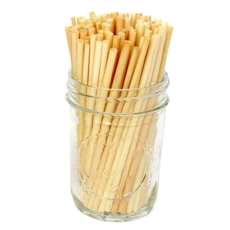 Sturdy Eco Disposable Bamboo Straw Set Coffee Fruit Smoothie Drinking Biodegradable Custom Straws for a Greener Planet