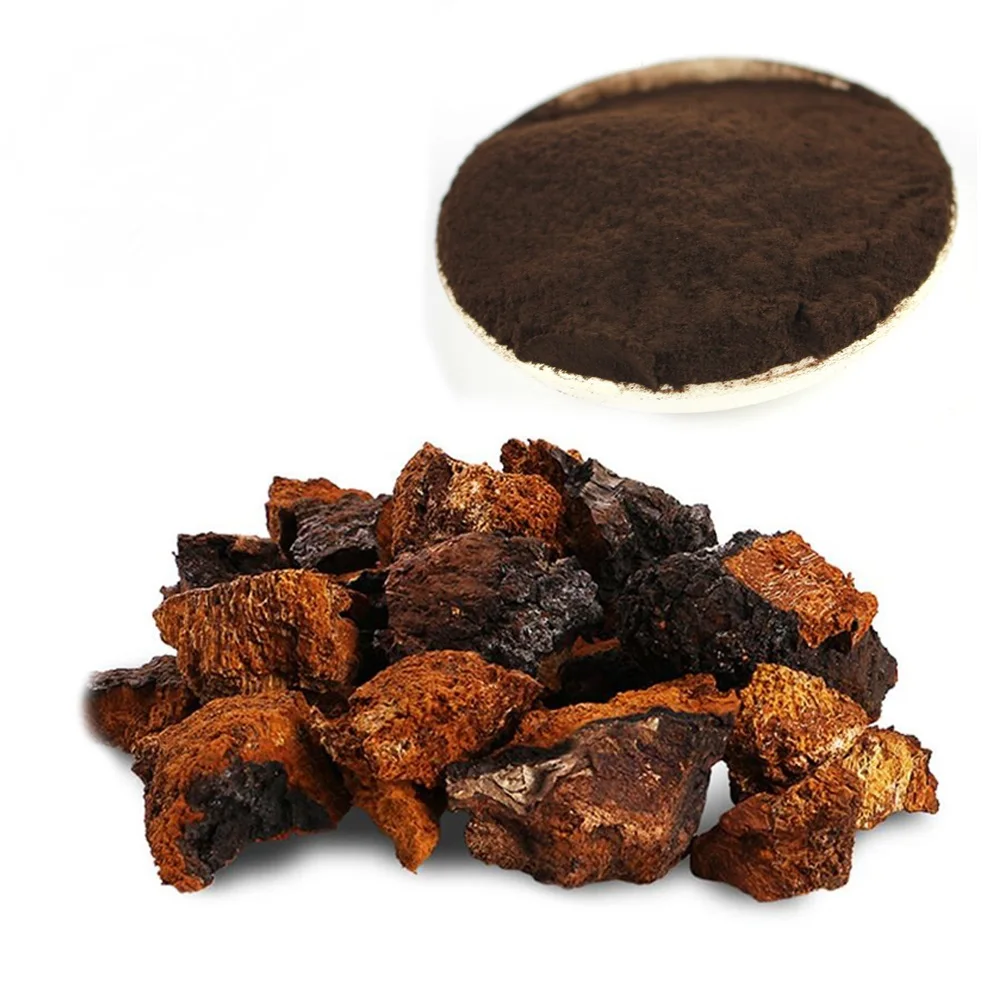 Top quality delicious chaga mushroom frozen