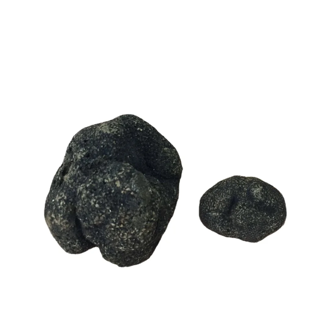 DETAN 2023-2024 New Season Wild Chinese Winter Fresh Black Truffles Wholesale Price