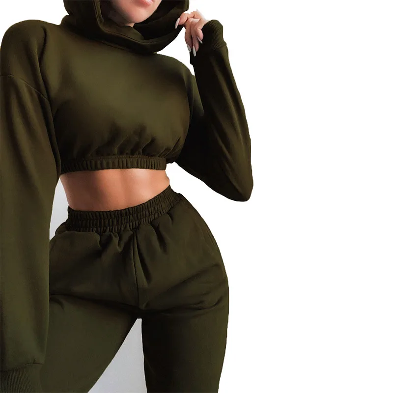 Casual Jogger Sweatsuit 2 Piece Sets  Winter Fleece Two Piece Pants Set Customize Women Jogging Suits