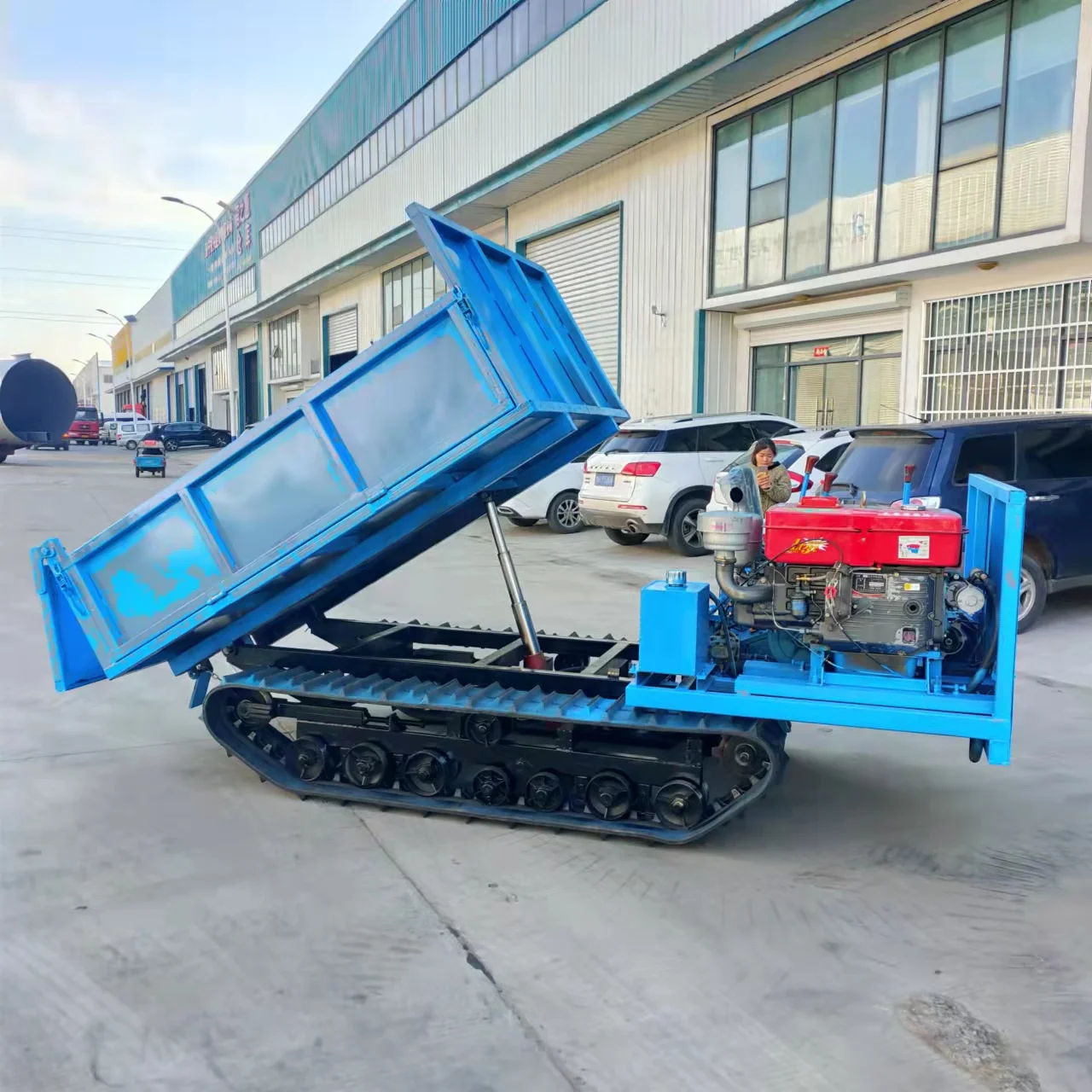 4Tons Cargo Truck Crawler Hydraulic Crawler Tracked Dumper for Farm and Garden Use