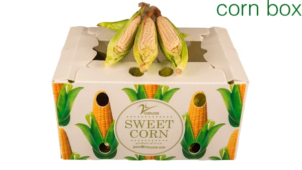 polypropylene plastic box organic vegetable foldable honeycomb pp grape packaging banana plain asparagus corrugated for fruit