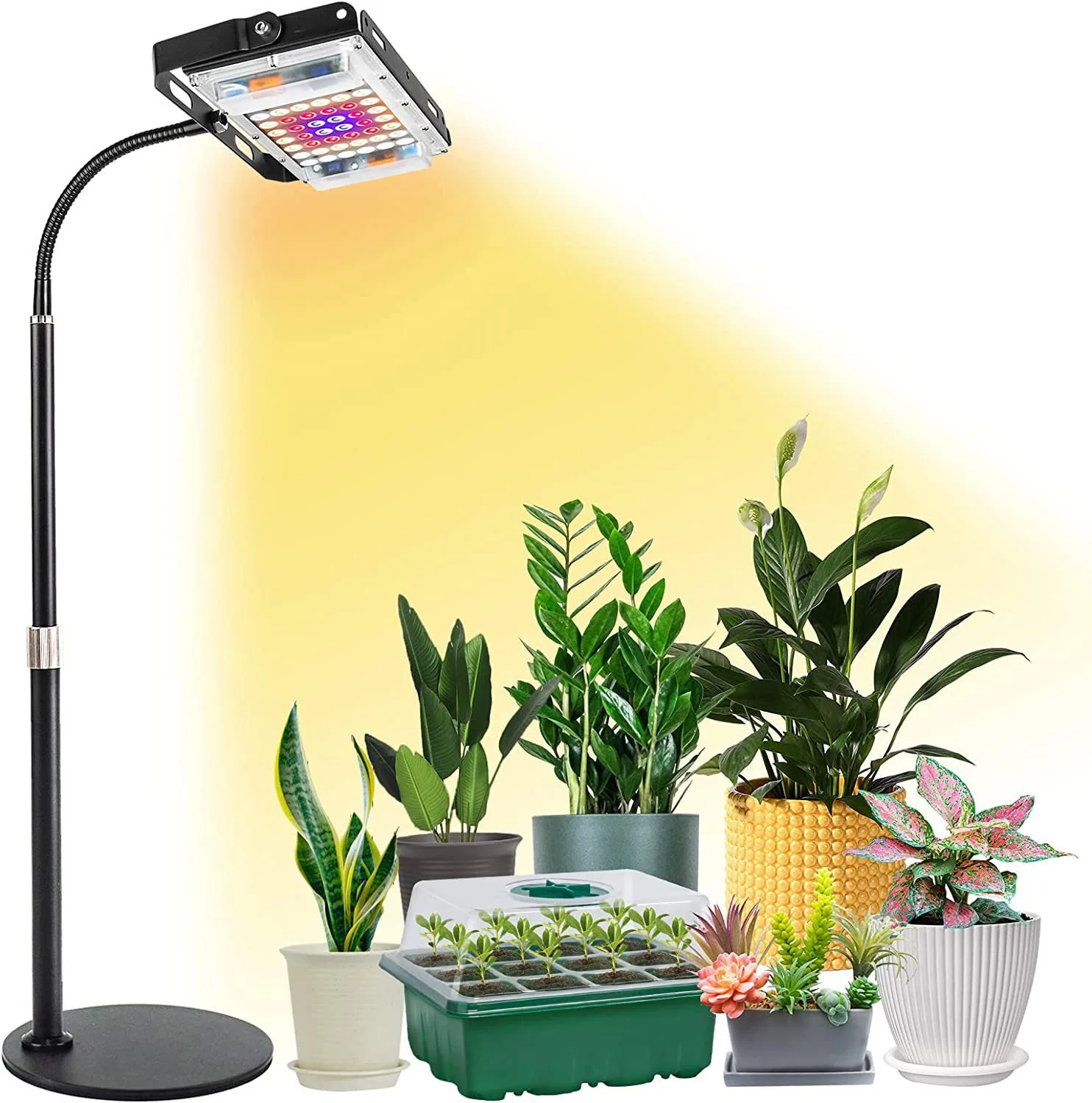 Dimmable W Timer LED Floor Desktop Full Spectrum Grow Light For Indoor Phyto Plant Seedling Flower Fruits Succulent Hydroponic
