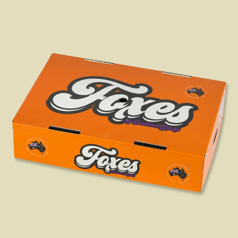 PE Box Low Price Customized Anti-static PE Plastic Storage Box  Wax coated cardboard box for fruit and vegetable packaging