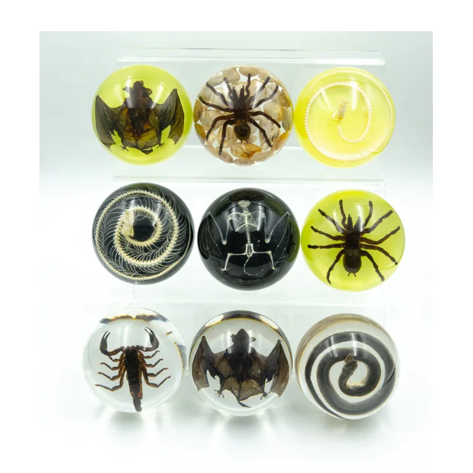 Изготовленные вручную образцы насекомых из светящейся смолы пресс-папье натуральной для школьного обучения и домашнего декора