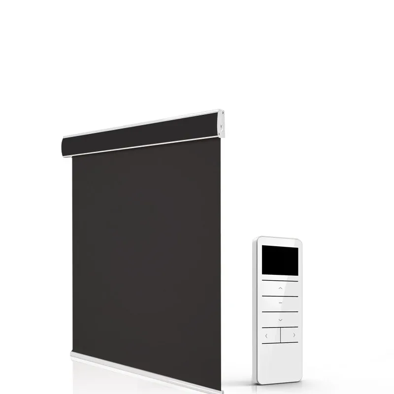 Customized Motorized Roller Blinds With Dust Cover DaylightRechargeable Lithium Battery Remote Control Roller Blinds