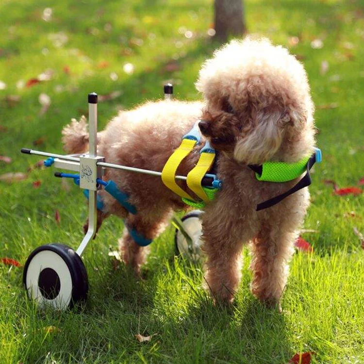 Hot Selling Pet Healthcare Assisted Walk Car Pet Wheelchair For Disabled Hind Legs Dog