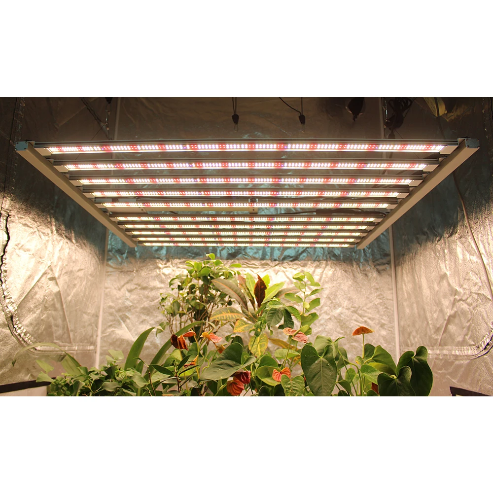 APP smart controller Figolite LM301H EVO 720w 1000w full spectrum commercial led grow lights with uv ir for indoor plants