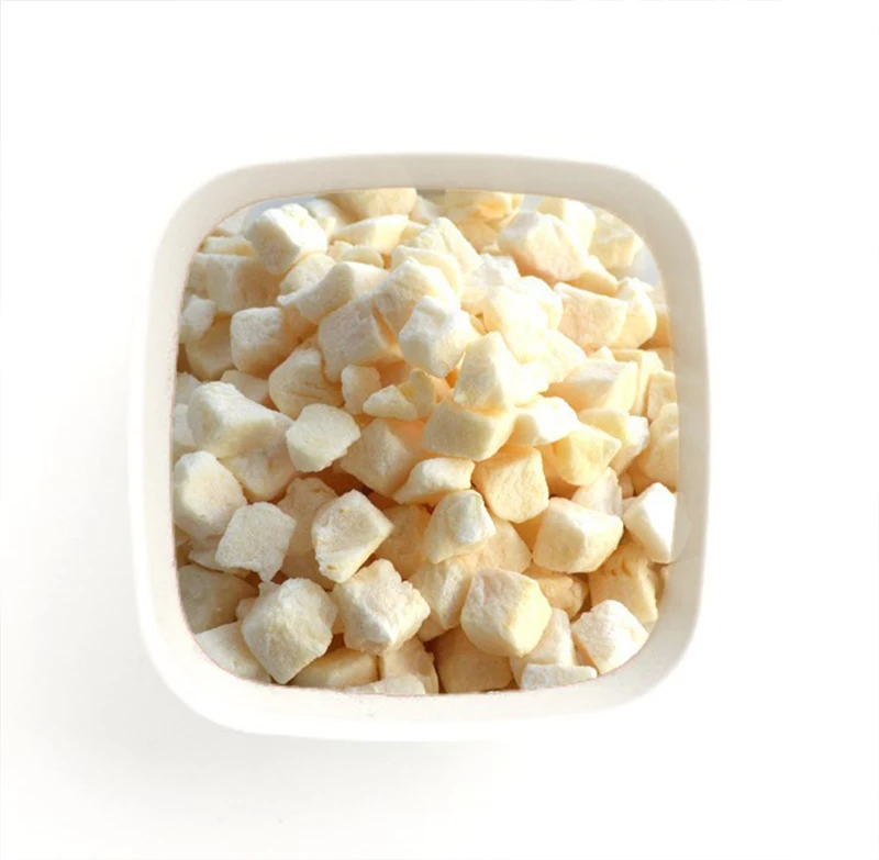 Various Good Quality Tasty White Crispy Dices Freeze Dried Apple