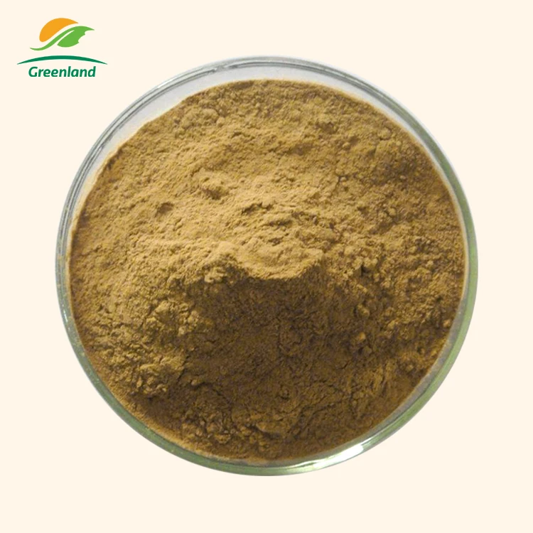 Китайский Кордицепс высшего качества золотистый Cs4 Чистый органический Sinensis лучший Кордицепс цена