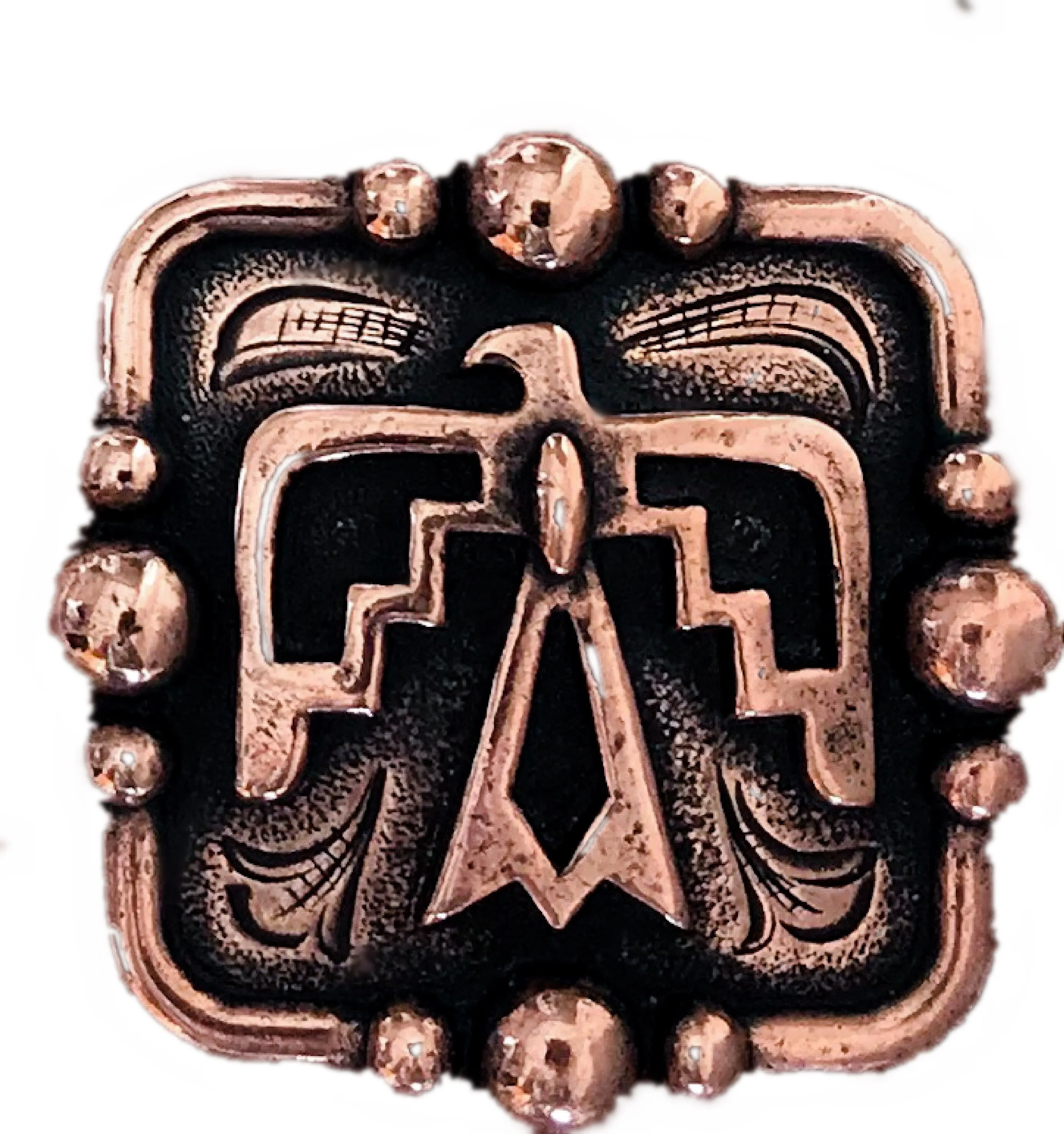 Screw back conchos western conchos turquoise bird concho