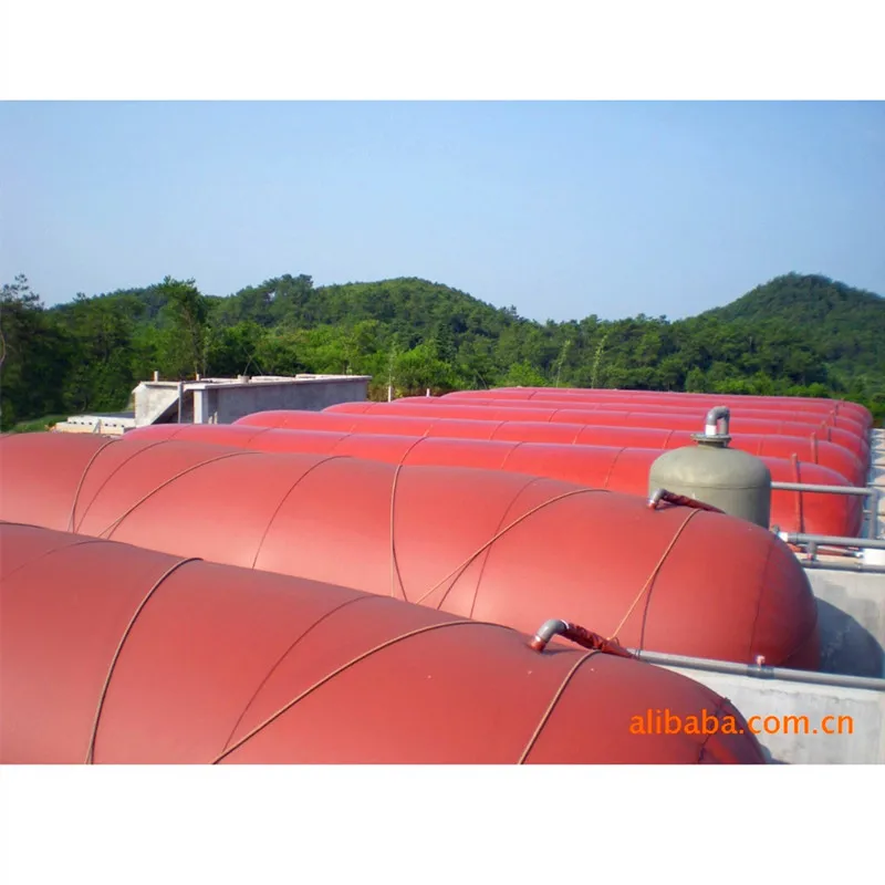 biogas plant for electricity biogas storage balloon bag equipment system bio digester for pig cow farm biogas conversion kit