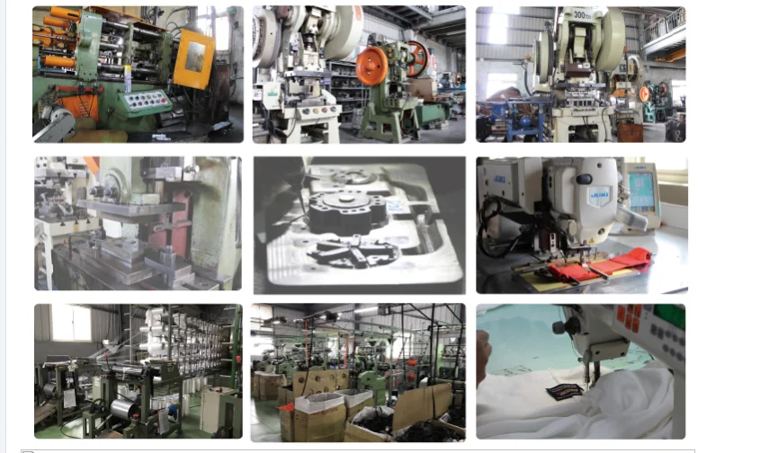 Hot selling eye bolts 2 inch 5 points Camlock racing seat belt