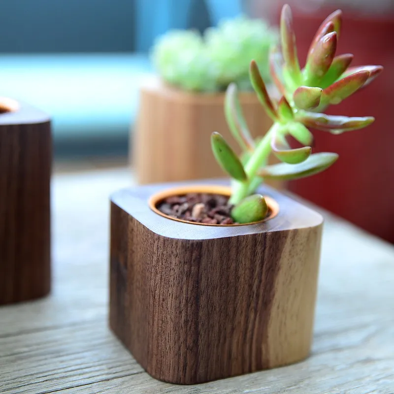 Base Potted Cactus Plant Flower Pot Aluminium Pen Container Beech Walnut Wooden Succulent Planter Decoration Garden Flower pots