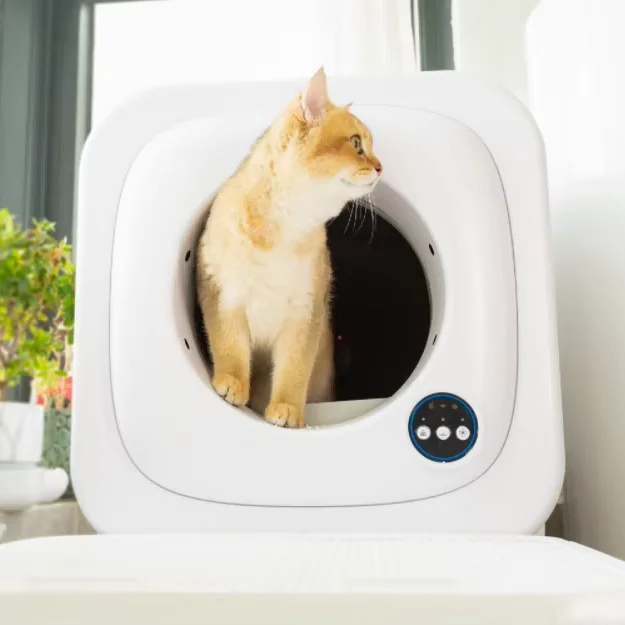 Electric Litter Box Automatic Timed Cat Toilet TUYA App Control Self Cleaning Cat Litter Box For Cats