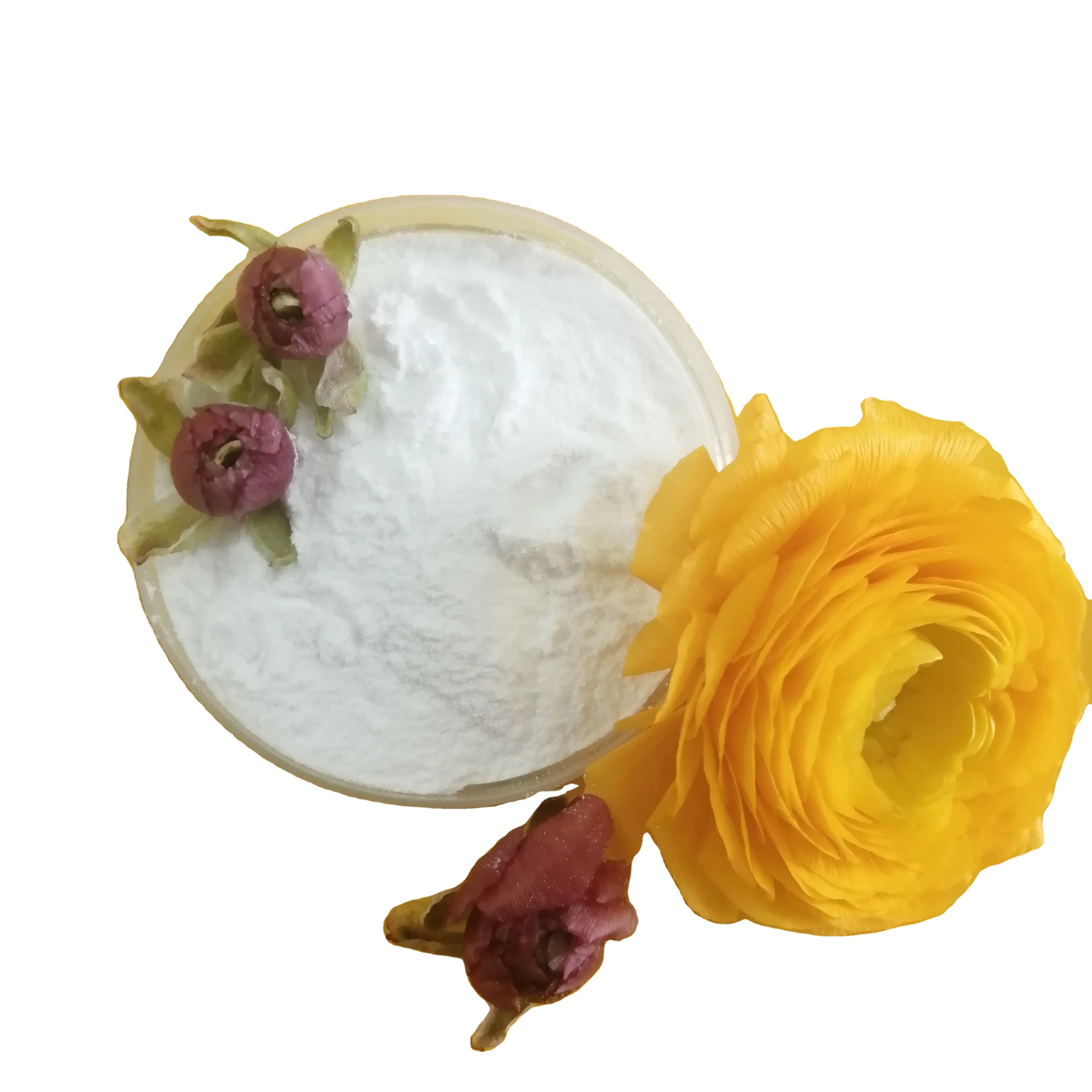 NAH2PO4 CAS No 7558-80-7 Monosodium Phosphate MSP 98%min with price from china manufacturer