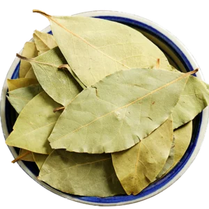 Wholesale most people buy pure natural bay leaf extract