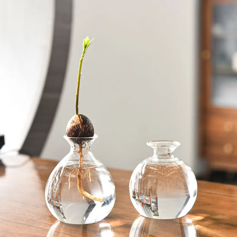 Glass Avocado Propagation Vase Clear Avocados Hyacinths Walnuts Vase Bulb blown glass vase for home